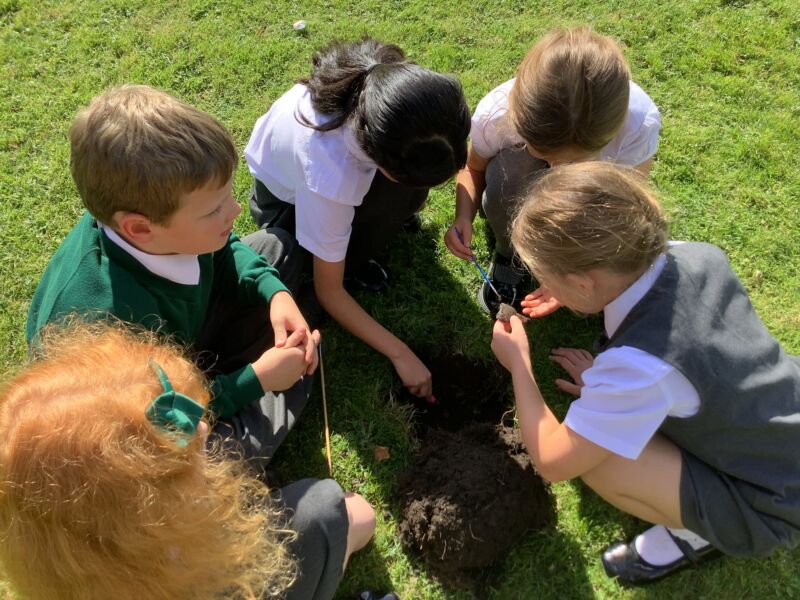 Image for the Tweet beginning: Class 7 loved finding out